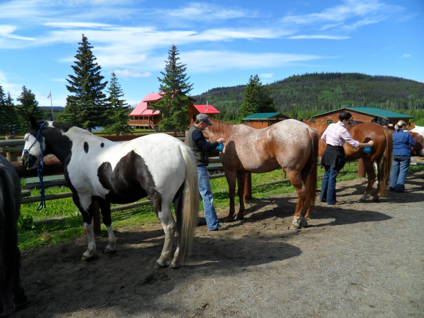 Home - Free Rein Guest Ranch | British Columbia